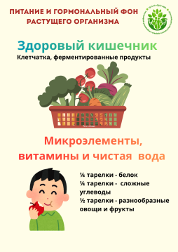 Питание и гормональный фон растущего организма-2